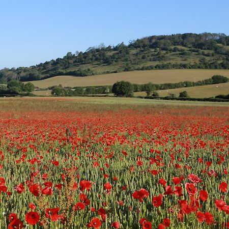 Charlton End - Goodwood Events Bed and Breakfast Τσίτσεστερ Εξωτερικό φωτογραφία